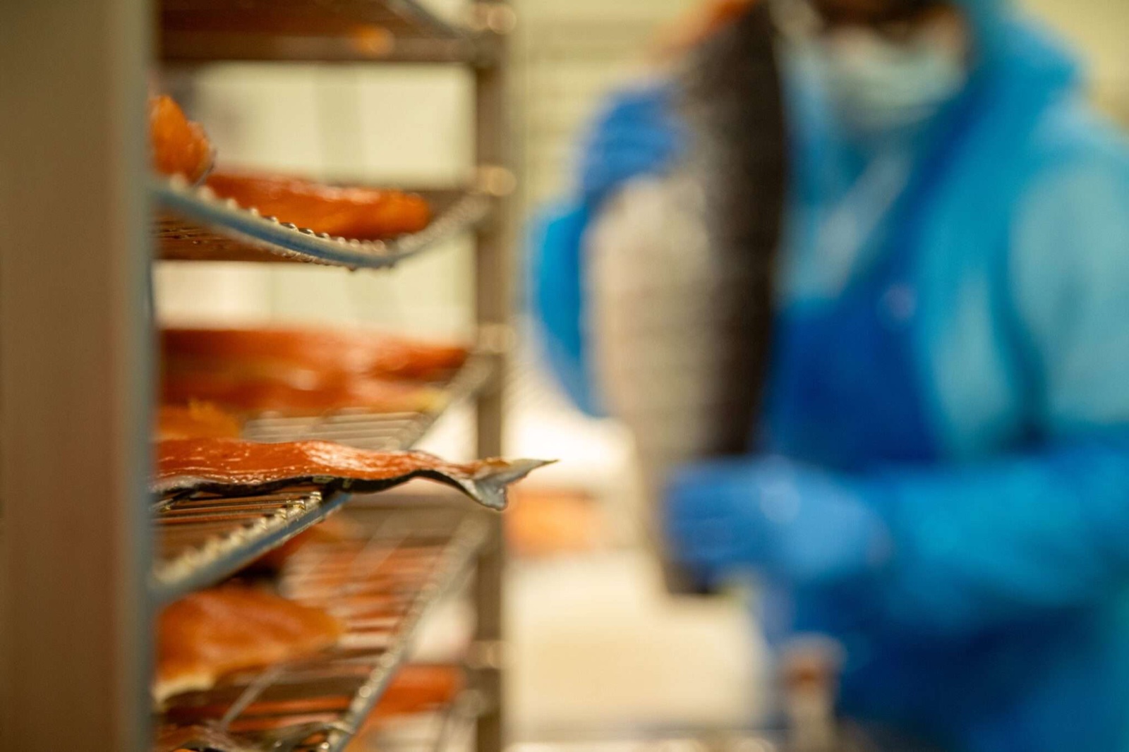 FOODLAB S.R.L. The Italian Salmon philosophy