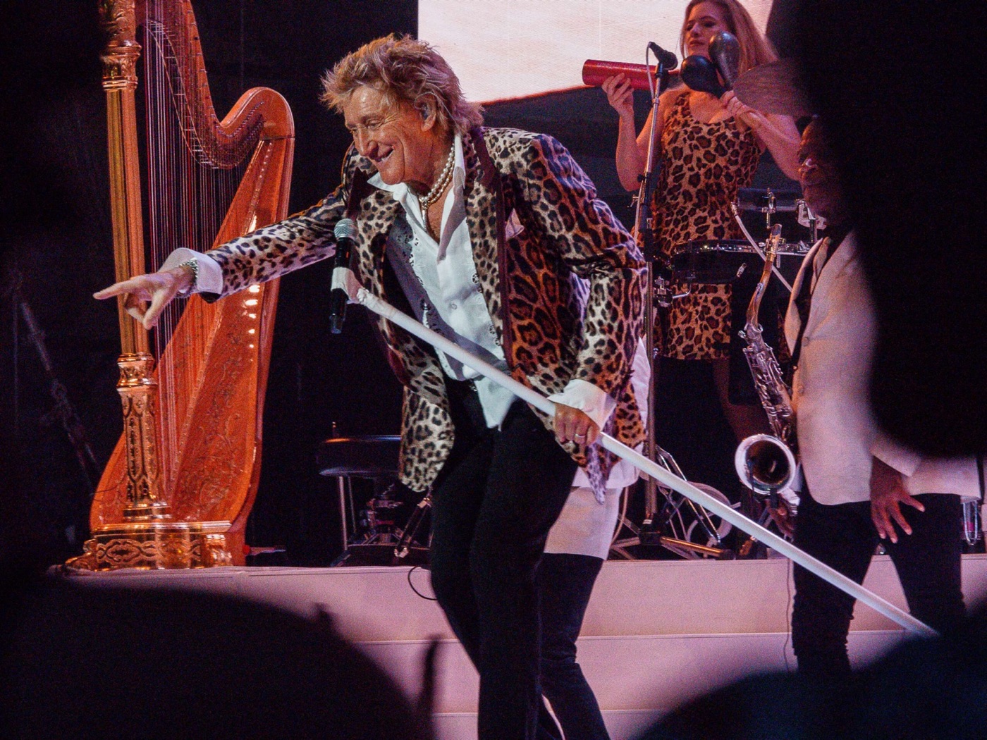 Rod Stewart 2024